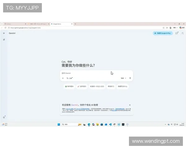 问鼎网页版登录界面加载缓慢或无法进入的应对措施，帮助用户快速解决登录难题